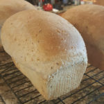 Easy Sprouted Whole Wheat Bread Recipe